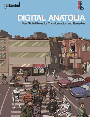 Digital Anatolia: New Global Rules for Transformation and Remedies