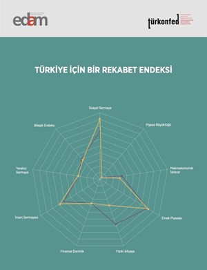 Provincial Competitiveness Index: Turkey