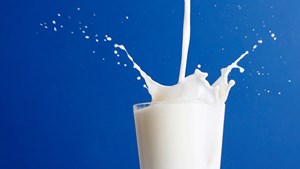 TZOB: Süt üreticisi bir yıldır insaf bekliyor