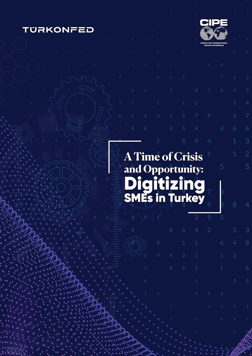 A Time of Crisis and Opportunity Digitizing SMEs in Turkey