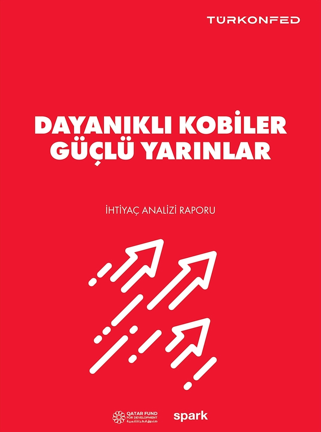 Dayanıklı KOBİ’ler Güçlü Yarınlar  - İhtiyaç Analizi Raporu