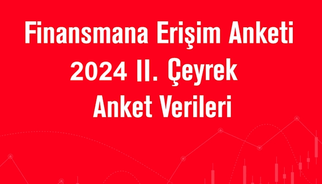 Finansmana Erişim Anketi 2024 II. Çeyrek