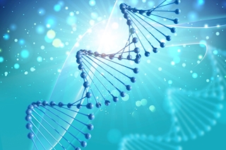 Genetik Verilerin İşlenmesi Hakkında Rehber Taslağı
