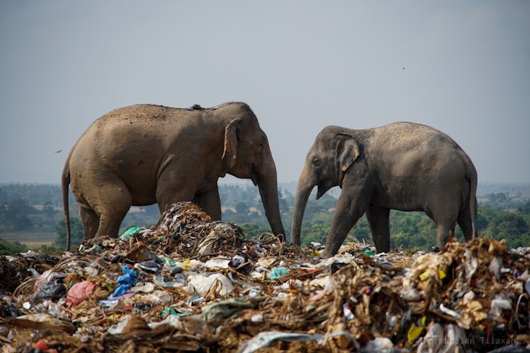 Nairobi Sözleşmesi İmzalandı: Plastik Kirlenme ile Mücadelede Türkiye Nerede?