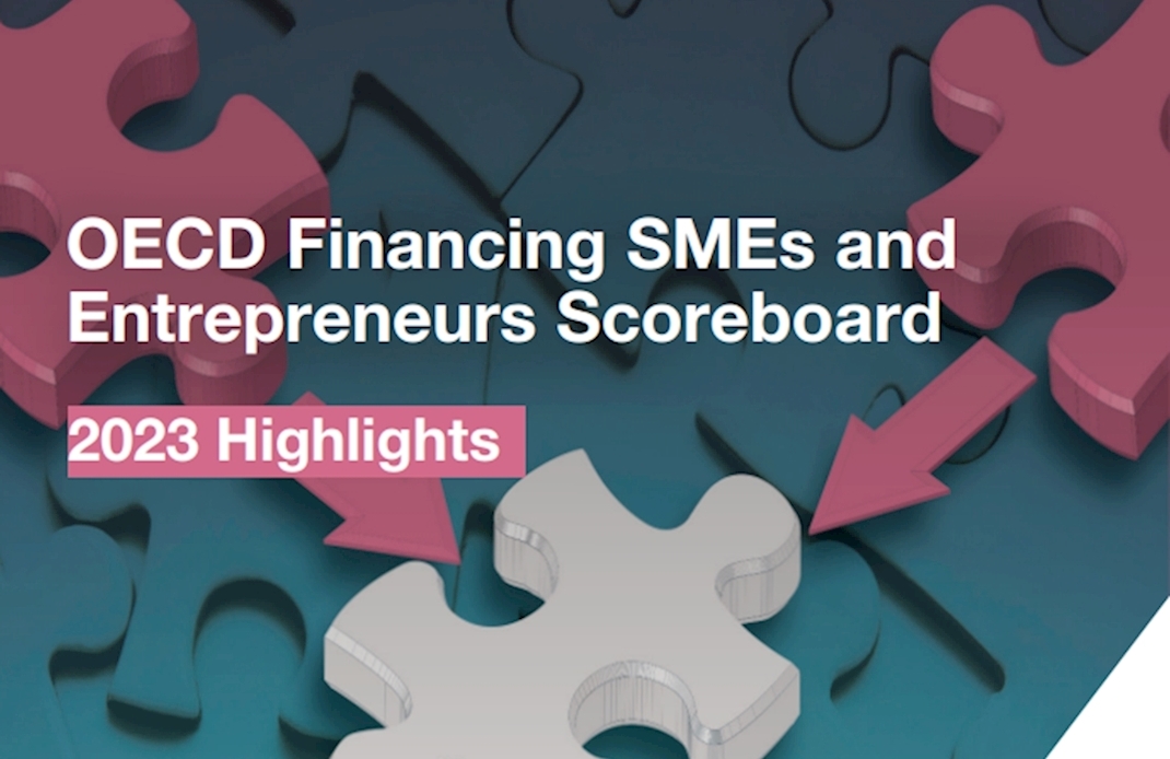 OECD Raporu: KOBİ'ler Finansmanı ve Girişimciler Skorbordu