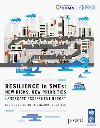 "Resilience in SMEs: New Risks, New Priorities" Report
