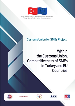Within the Customs Union, Competitiveness of SMEs in Turkey and EU Countries