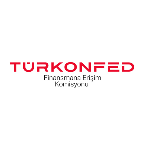 Finansmana Erişim Komisyonu
