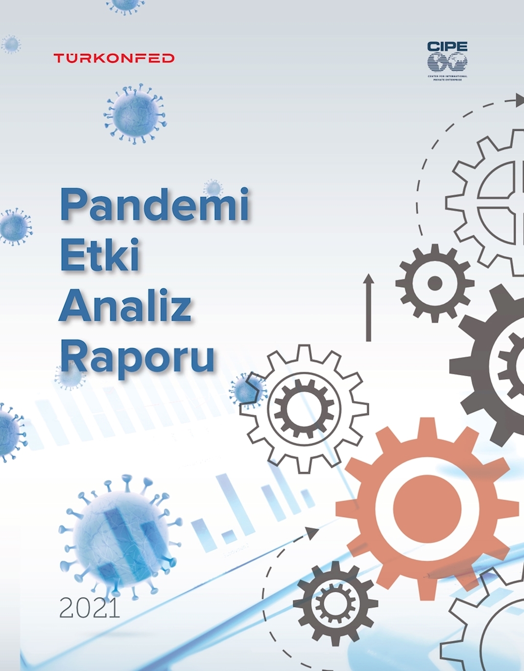 Pandemi Etki Analiz Raporu