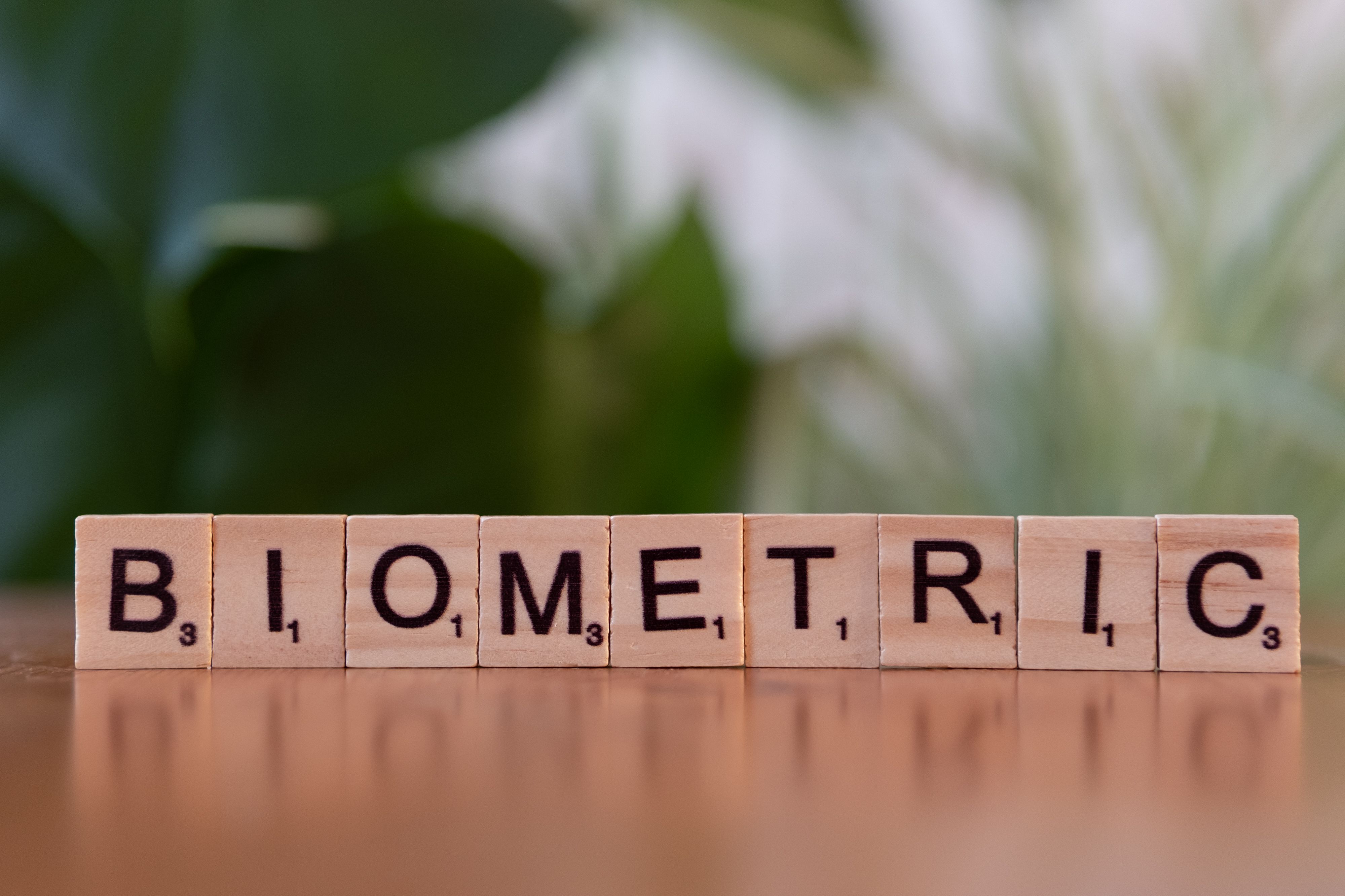 Biyometrik Verilerin Korunması Hakkında Güncel Gelişmeler